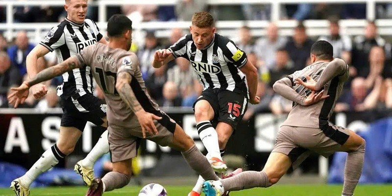 Newcastle United là một trong những CLB hàng đầu EPL hiện tại