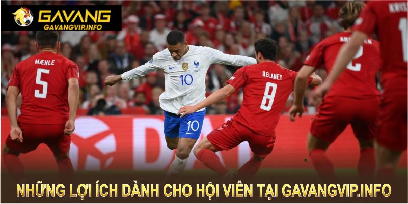 Những lợi ích dành cho hội viên tại Gavangvip.info