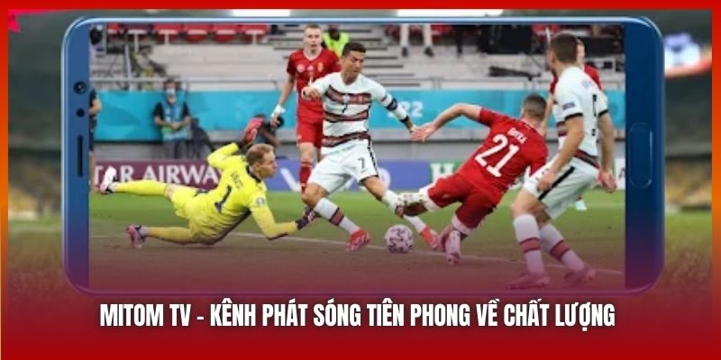 Mitom TV | Kênh Phát Sóng Bóng Đá Tiên Phong Về Chất Lượng